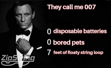 What's Up Zipsters! Steve Mould, Dr. Nozman and more!